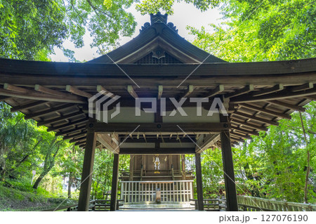 高良神社(石清水八幡宮山麓) 高良神社(石清水八幡宮山麓) 127076190