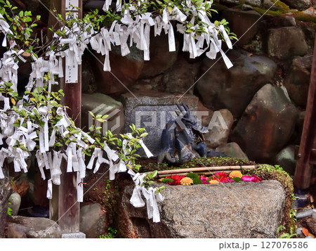八大神社 花手水 八大神社 花手水 127076586