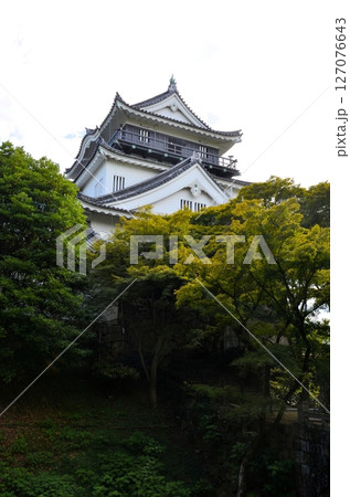 岡崎城 天守閣と廊下橋 127076643