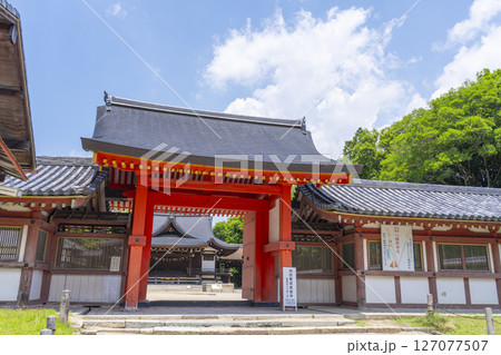 石清水八幡宮の頓宮 南門 石清水八幡宮の頓宮 南門 127077507