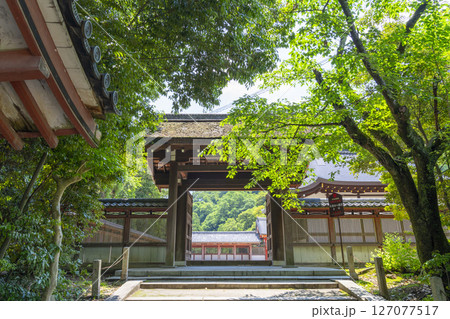 石清水八幡宮の頓宮 北門と筒井 石清水八幡宮の頓宮 北門と筒井 127077517