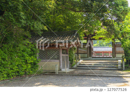 石清水八幡宮　筒井　北門 127077526