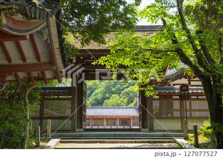 石清水八幡宮の頓宮　北門と筒井 127077527
