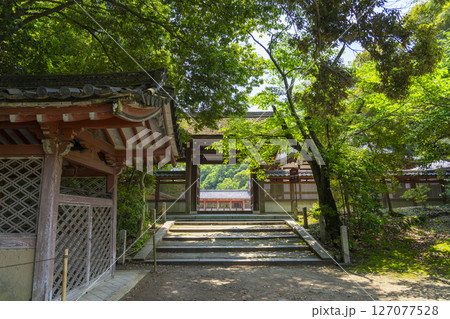 石清水八幡宮の頓宮　北門と筒井 127077528