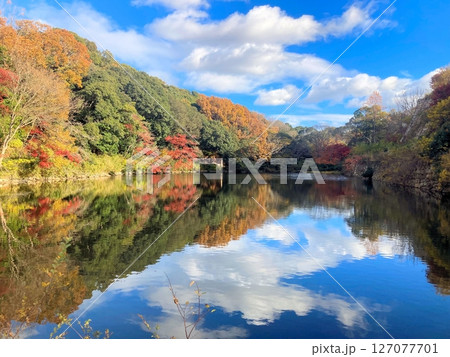明石城 桜堀 127077701