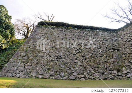 宇和島城 本丸跡の石垣 宇和島城 本丸跡の石垣 127077853