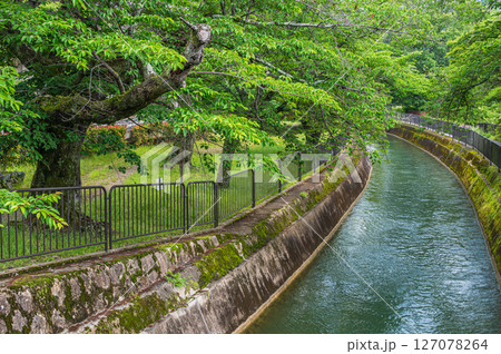 琵琶湖疏水　京都市 127078264