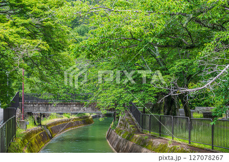 琵琶湖疏水　京都市 127078267