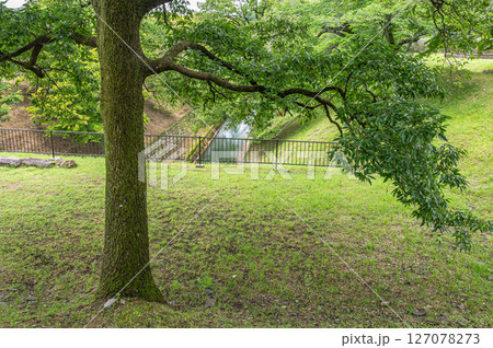 琵琶湖疏水　第一トンネル出口付近　京都市 127078273