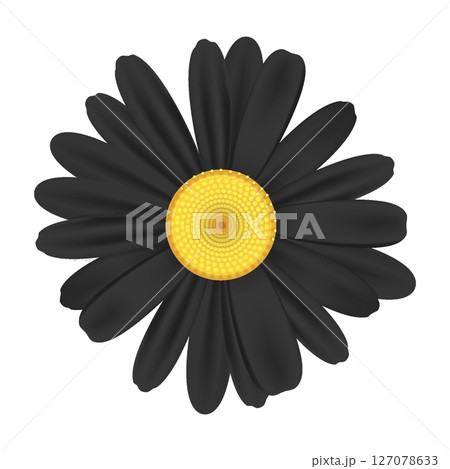 Realistic chamomile daisy flower icon 127078633