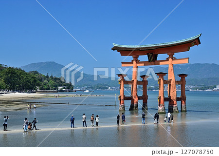 厳島神社　大鳥居 127078750