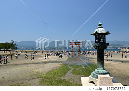 厳島神社　大鳥居 127078751