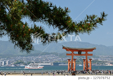 厳島神社　大鳥居 127078752