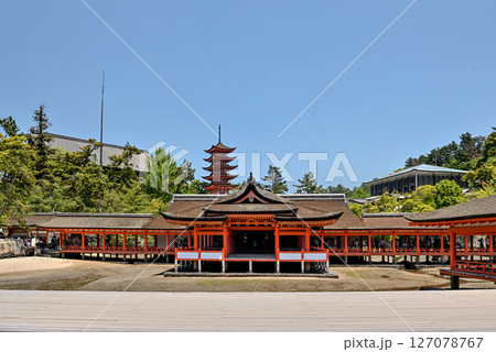 厳島神社 本社殿 厳島神社 本社殿 127078767
