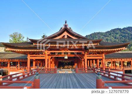 厳島神社 本社殿 厳島神社 本社殿 127078770