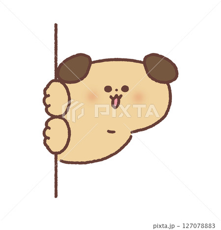 壁からひょっこり顔を出した可愛い犬 壁からひょっこり顔を出した可愛い犬 127078883