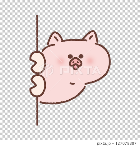 A cute pig peeking out from the wall A cute pig peeking out from the wall 127078887