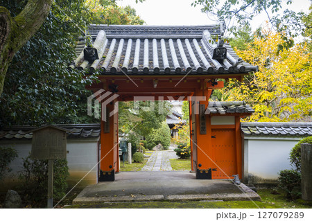 京都　泉涌寺の塔頭寺院　悲田院（ひでんいん）の門　　 127079289