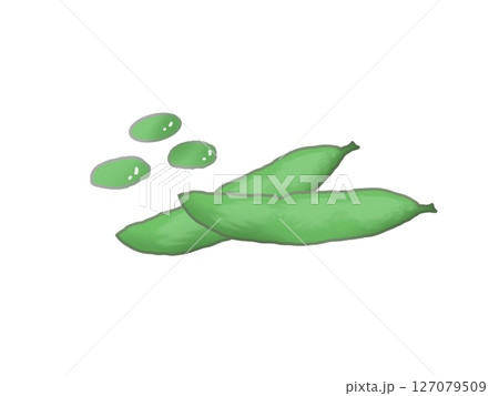 そら豆のイラスト 127079509