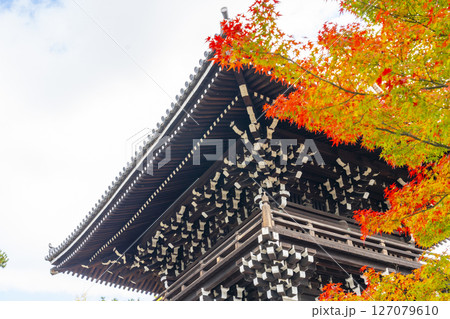 相国寺　洪音楼（鐘楼）と紅葉 127079610