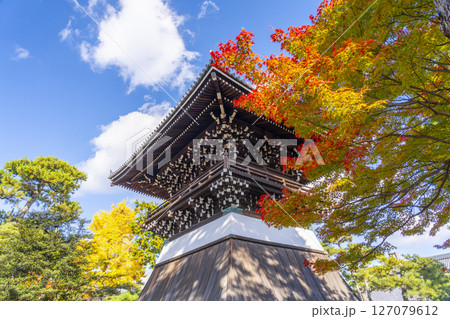 相国寺 洪音楼(鐘楼)と紅葉 相国寺 洪音楼(鐘楼)と紅葉 127079612