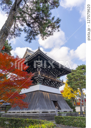 相国寺 洪音楼(鐘楼)と紅葉 相国寺 洪音楼(鐘楼)と紅葉 127079620