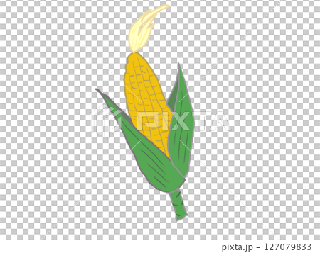 黃玉米插圖 127079833