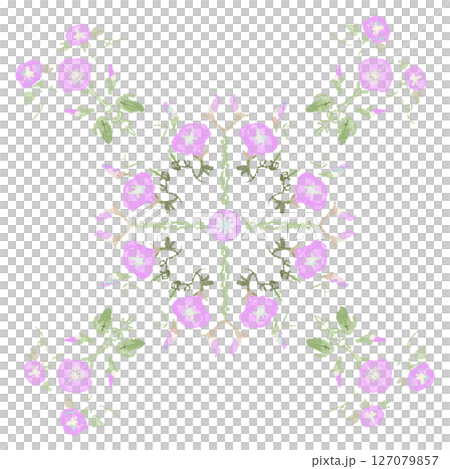 朝顔日和ー桃色 Morning Glory Mandala – Dream of Peach Mis 朝顔日和ー桃色 Morning Glory Mandala – Dream of Peach Mis 127079857