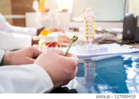 Doctor show polyaxial screw on the spine model. Spine fixation systems 127080410