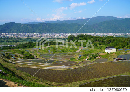 姨捨の棚田 田植えシーズン 姨捨の棚田 田植えシーズン 127080670