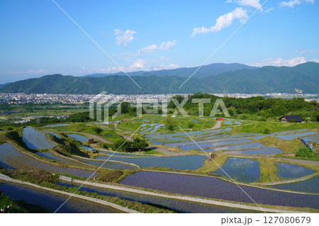 姨捨の棚田 田植えシーズン 姨捨の棚田 田植えシーズン 127080679
