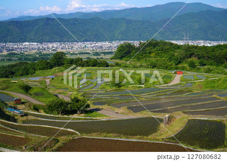 姨捨の棚田 田植えシーズン 姨捨の棚田 田植えシーズン 127080682