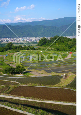 姨捨の棚田 田植えシーズン 姨捨の棚田 田植えシーズン 127080683