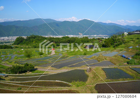 姨捨の棚田　田植えシーズン 127080684