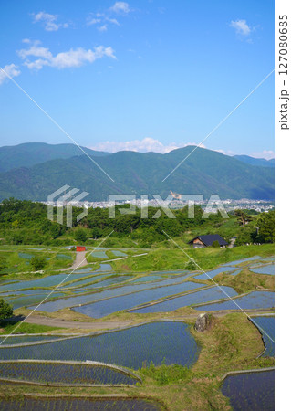 姨捨の棚田　田植えシーズン 127080685