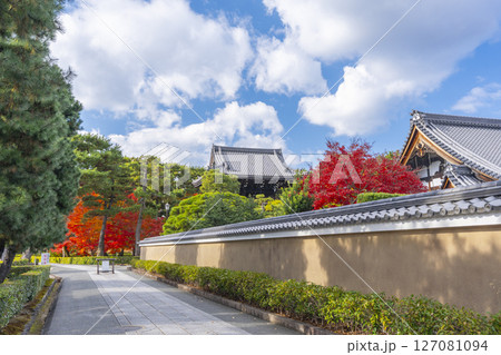 京都　相国寺　紅葉が見頃の境内 127081094