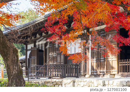 京都 相国寺の法堂(無畏堂)と紅葉 京都 相国寺の法堂(無畏堂)と紅葉 127081100