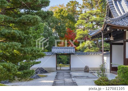 京都　相国寺の塔頭寺院　大光明寺 127081105
