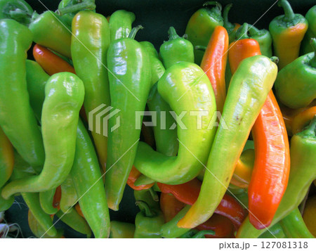 新鮮な野菜 127081318