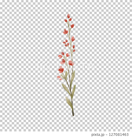 Red flowers Red flowers 127081463