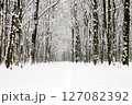 Winter forest and the road. Winter landscape 127082392