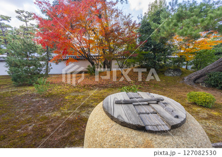 京都　相国寺　紅葉が見頃の開山堂庭園「龍渕水の庭」 127082530