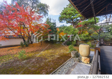 京都 相国寺 紅葉が見頃の開山堂庭園「龍渕水の庭」 京都 相国寺 紅葉が見頃の開山堂庭園「龍渕水の庭」 127082532