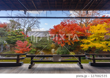 京都 相国寺 紅葉が見頃の開山堂庭園「龍渕水の庭」 京都 相国寺 紅葉が見頃の開山堂庭園「龍渕水の庭」 127082535