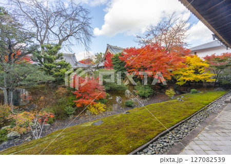 京都　相国寺　紅葉が見頃の開山堂庭園「龍渕水の庭」 127082539