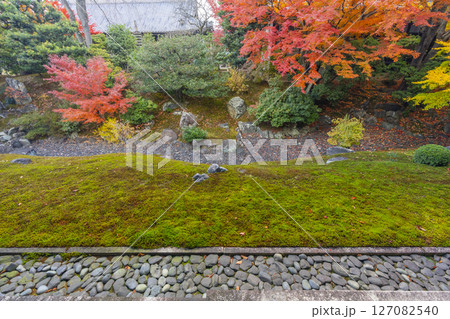 京都 相国寺 紅葉が見頃の開山堂庭園「龍渕水の庭」 京都 相国寺 紅葉が見頃の開山堂庭園「龍渕水の庭」 127082540