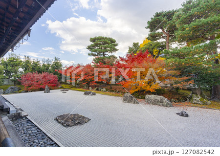 京都　相国寺　紅葉が見頃の開山堂庭園「龍渕水の庭」 127082542