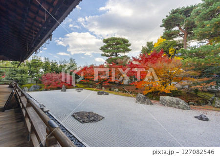 京都 相国寺 紅葉が見頃の開山堂庭園「龍渕水の庭」 京都 相国寺 紅葉が見頃の開山堂庭園「龍渕水の庭」 127082546