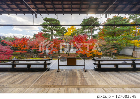 京都　相国寺　紅葉が見頃の開山堂庭園「龍渕水の庭」 127082549