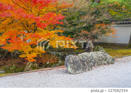 京都　相国寺　紅葉が見頃の開山堂庭園「龍渕水の庭」 127082554